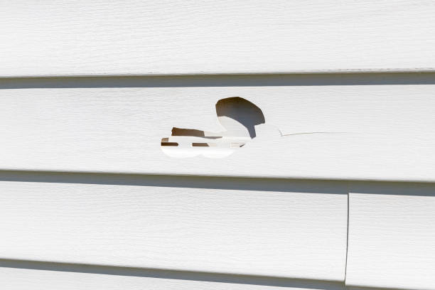 Best Engineered Wood Siding  in Cuyahoga Falls, OH